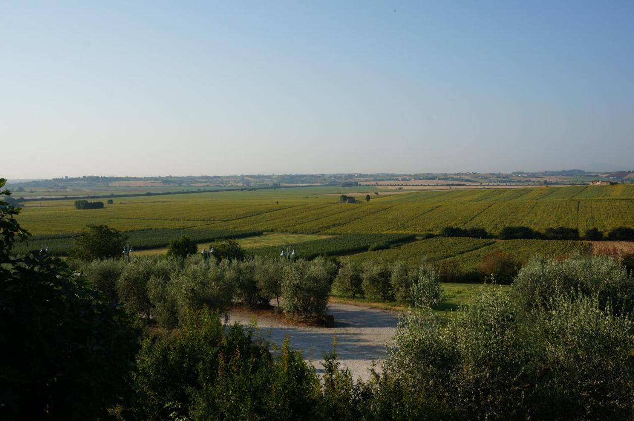 Agriturismo S.Angelo Villa Foiano Della Chiana Dış mekan fotoğraf
