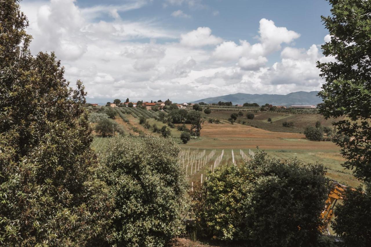 Agriturismo S.Angelo Villa Foiano Della Chiana Dış mekan fotoğraf